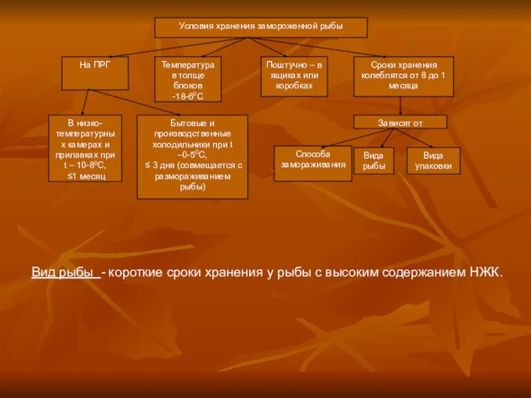 Условия хранения замороженной рыбы Поштучно – в ящиках или коробках Температура в