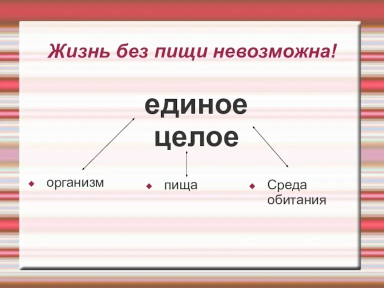 Жизнь без пищи невозможна! Среда обитания пища организм единое целое