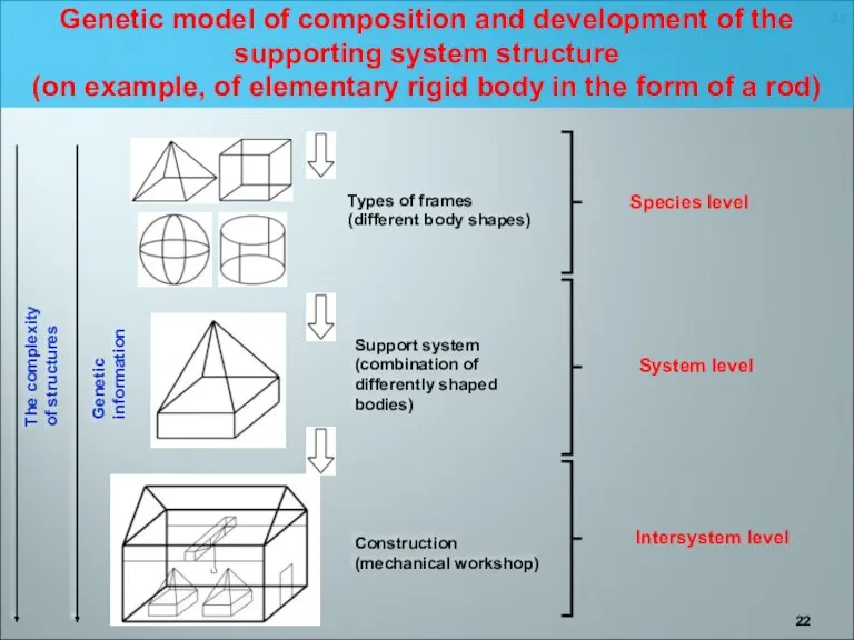 Types of frames (different body shapes) Support system (combination of differently shaped