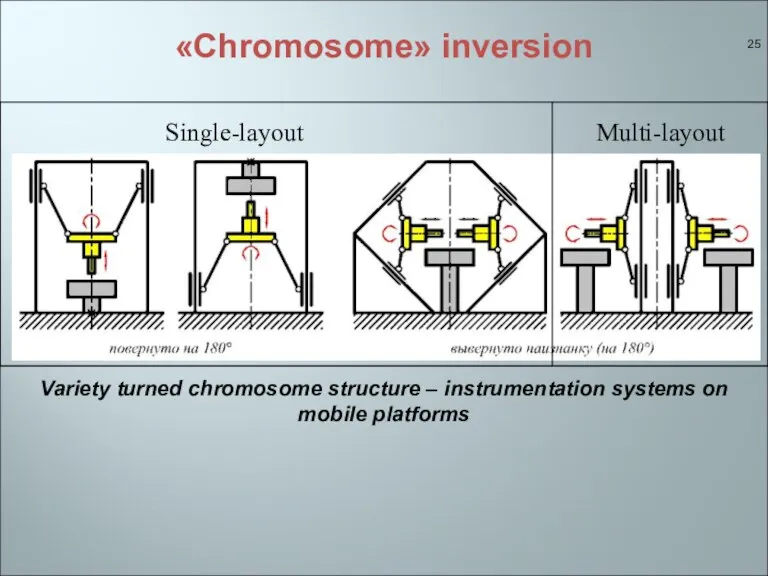 «Chromosome» inversion Single-layout Variety turned chromosome structure – instrumentation systems on mobile platforms Multi-layout