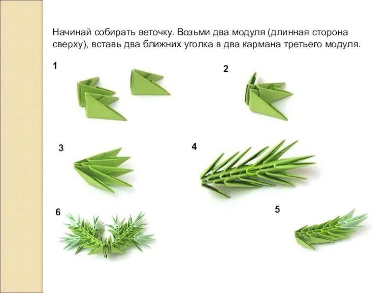 Начинай собирать веточку. Возьми два модуля (длинная сторона сверху), вставь два ближних