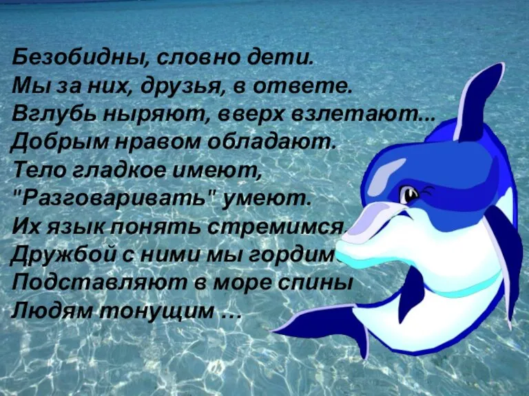 Безобидны, словно дети. Мы за них, друзья, в ответе. Вглубь ныряют, вверх