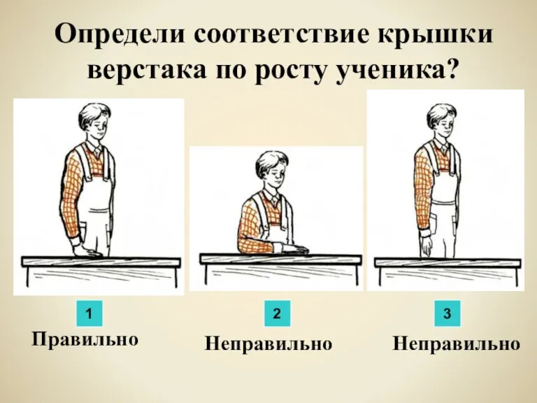 Определи соответствие крышки верстака по росту ученика? Правильно Неправильно Неправильно 1 2 3