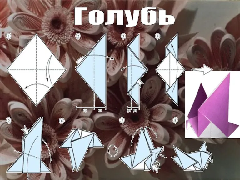 Голубь