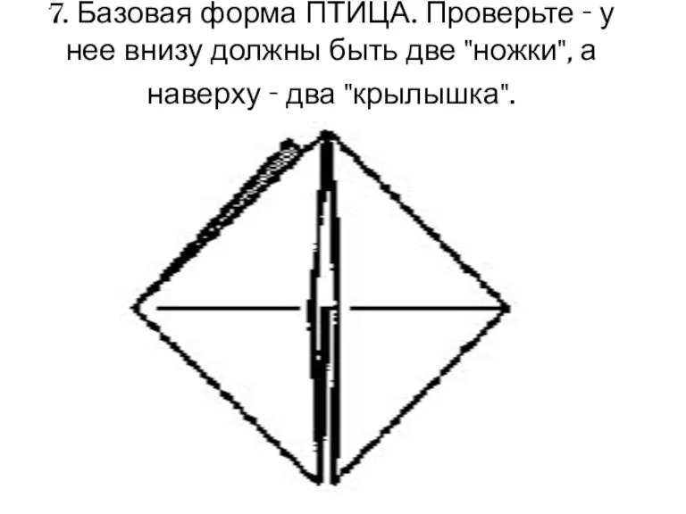 7. Базовая форма ПТИЦА. Проверьте - у нее внизу должны быть две