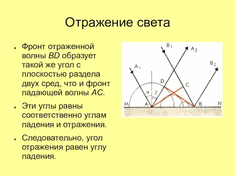 Отражение света Фронт отраженной волны BD образует такой же угол с плоскостью