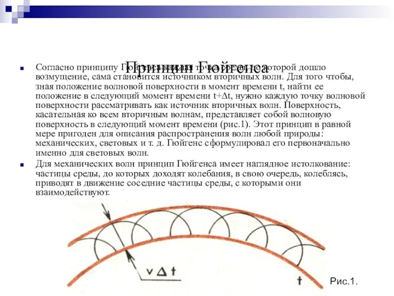 Принцип Гюйгенса Согласно принципу Гюйгенса каждая точка среды, до которой дошло возмущение,