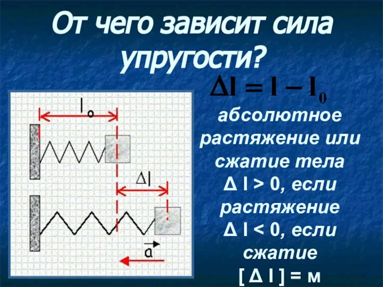 От чего зависит сила упругости? абсолютное растяжение или сжатие тела Δ l