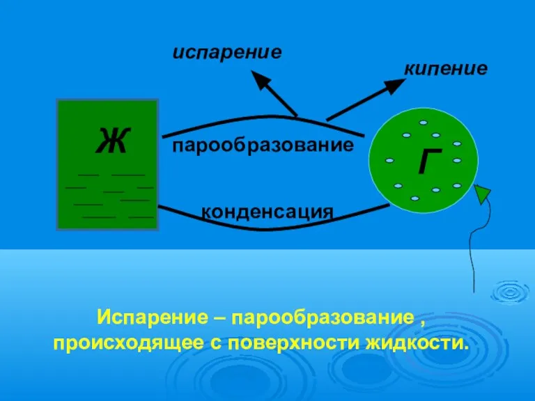 Ж Г парообразование конденсация кипение испарение Испарение – парообразование , происходящее с поверхности жидкости.