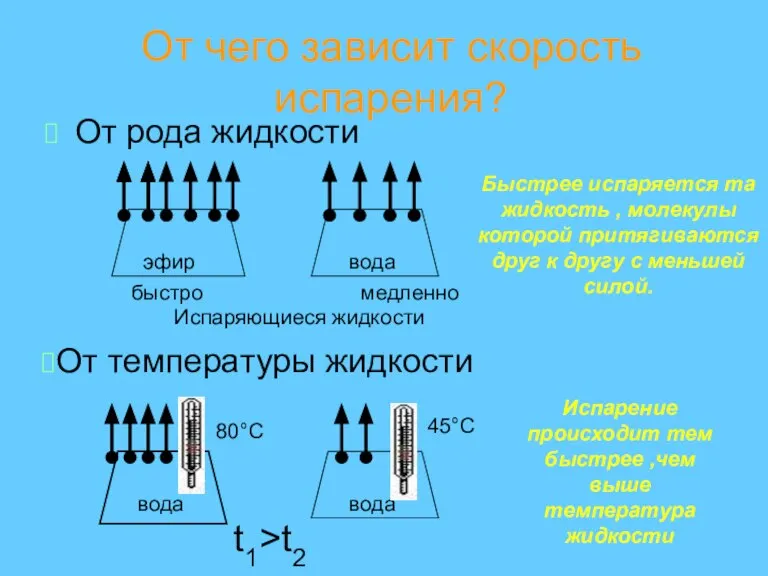 От чего зависит скорость испарения? От рода жидкости эфир медленно Испаряющиеся жидкости