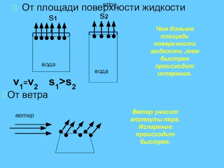 вода От площади поверхности жидкости вода вода v1=v2 Чем больше площадь поверхности