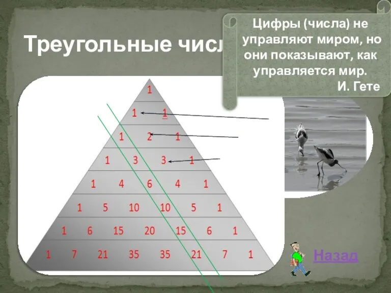 Треугольные числа Назад Цифры (числа) не управляют миром, но они показывают, как управляется мир. И. Гете