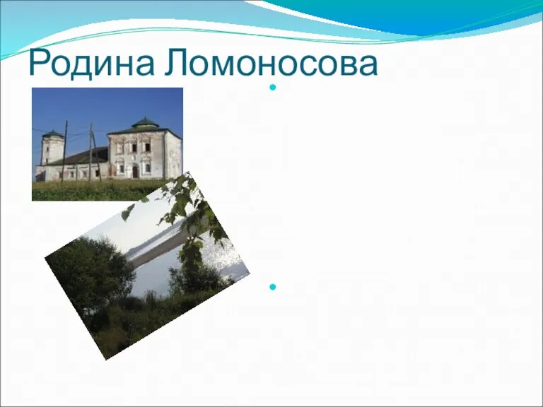 Родина Ломоносова Верстах в 80-ти от Архагельска , приняв воды реки Пинеги,