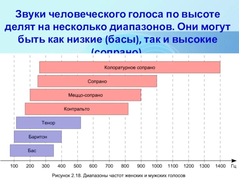 Звуки человеческого голоса по высоте делят на несколько диапазонов. Они могут быть