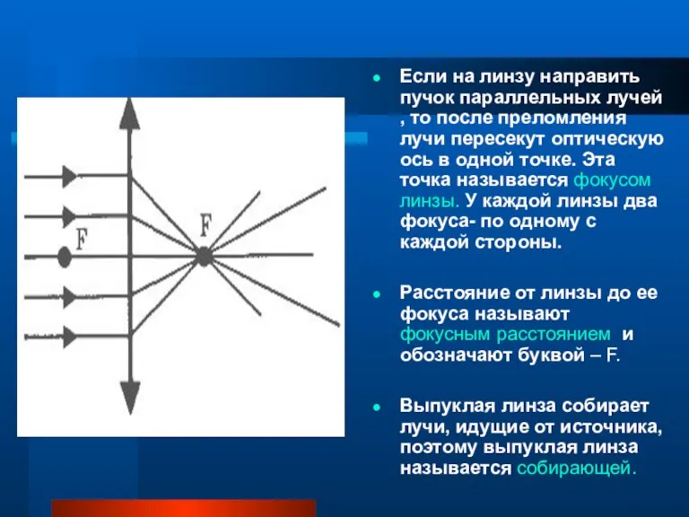 Если на линзу направить пучок параллельных лучей , то после преломления лучи