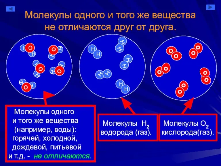 Молекулы одного и того же вещества не отличаются друг от друга. Молекулы