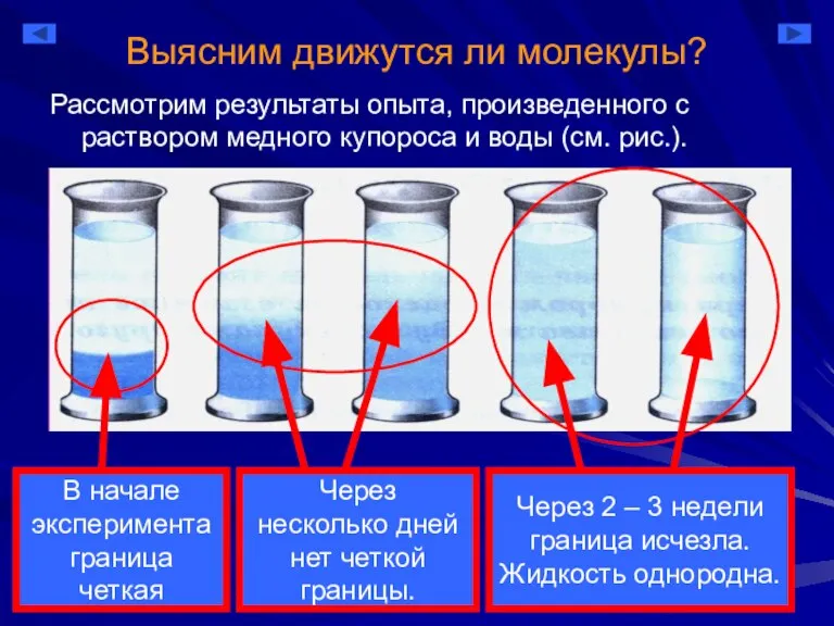 Через несколько дней нет четкой границы. В начале эксперимента граница четкая Выясним