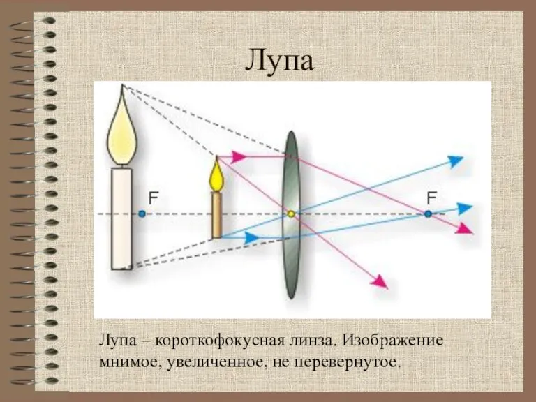 Лупа Лупа – короткофокусная линза. Изображение мнимое, увеличенное, не перевернутое.