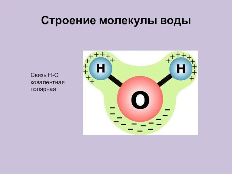 Строение молекулы воды Связь Н-О ковалентная полярная