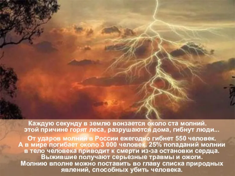 Каждую секунду в землю вонзается около ста молний. По этой причине горят