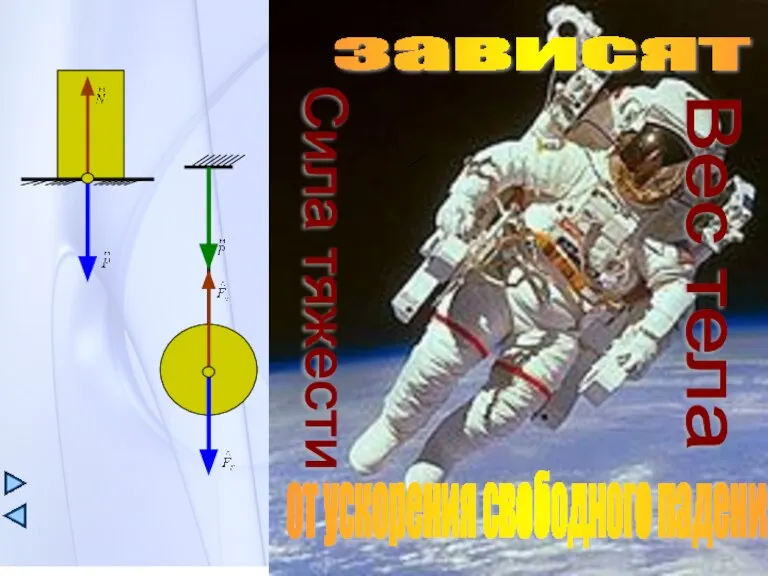 зависят от ускорения свободного падения Сила тяжести Вес тела