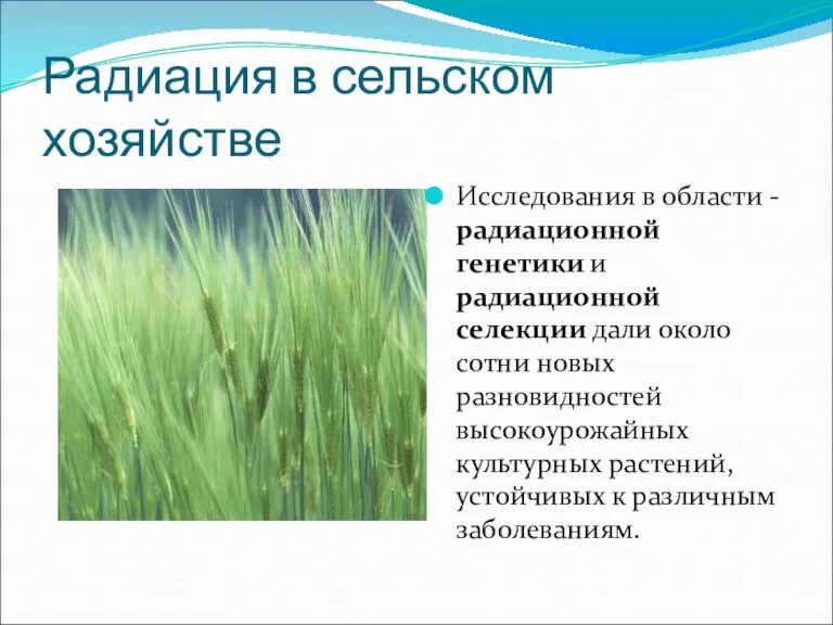 Радиация в сельском хозяйстве Исследования в области - радиационной генетики и радиационной