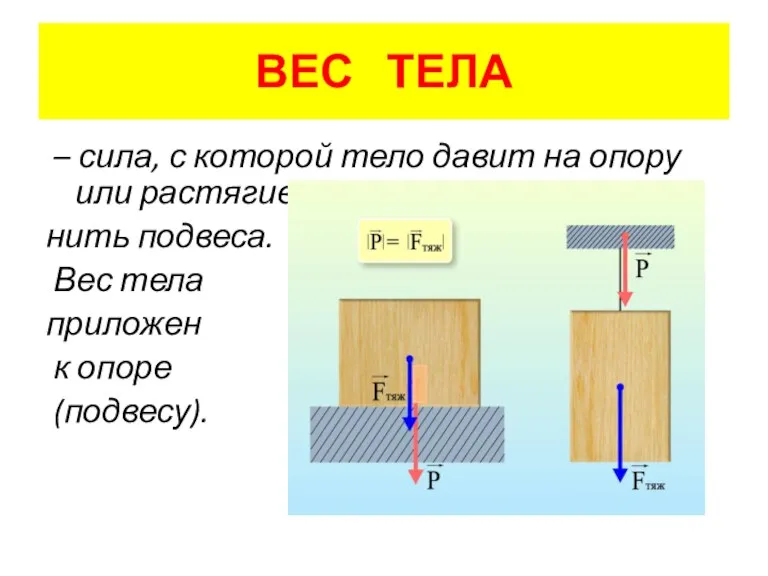 ВЕС ТЕЛА – сила, с которой тело давит на опору или растягивает