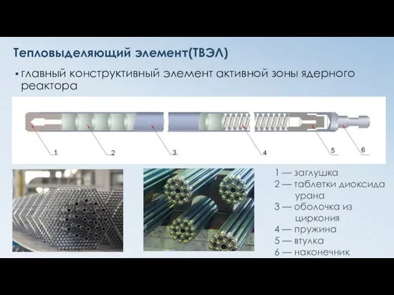 Тепловыделяющий элемент(ТВЭЛ) главный конструктивный элемент активной зоны ядерного реактора 1 — заглушка