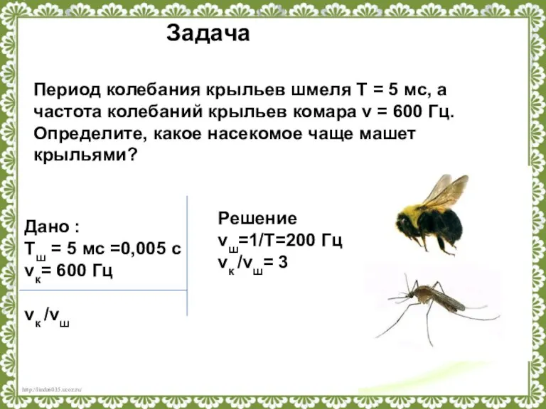 Период колебания крыльев шмеля T = 5 мс, а частота колебаний крыльев