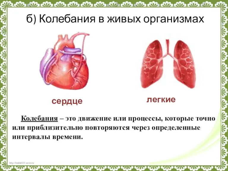 б) Колебания в живых организмах сердце легкие Колебания – это движение или