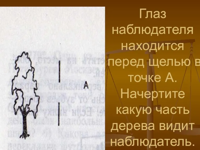 Глаз наблюдателя находится перед щелью в точке А. Начертите какую часть дерева видит наблюдатель.