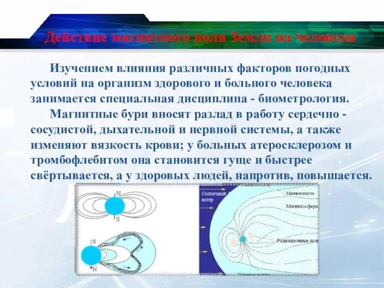 Действие магнитного поля Земли на человека Изучением влияния различных факторов погодных условий