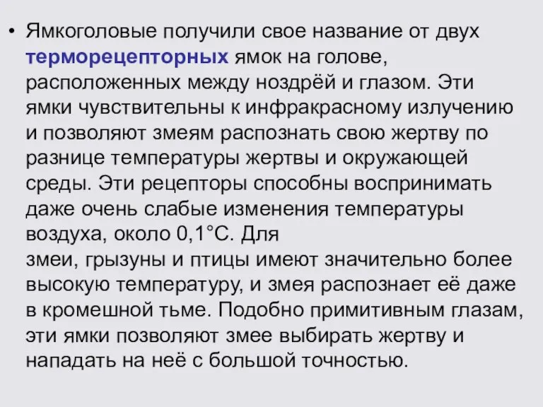 Ямкоголовые получили свое название от двух терморецепторных ямок на голове, расположенных между