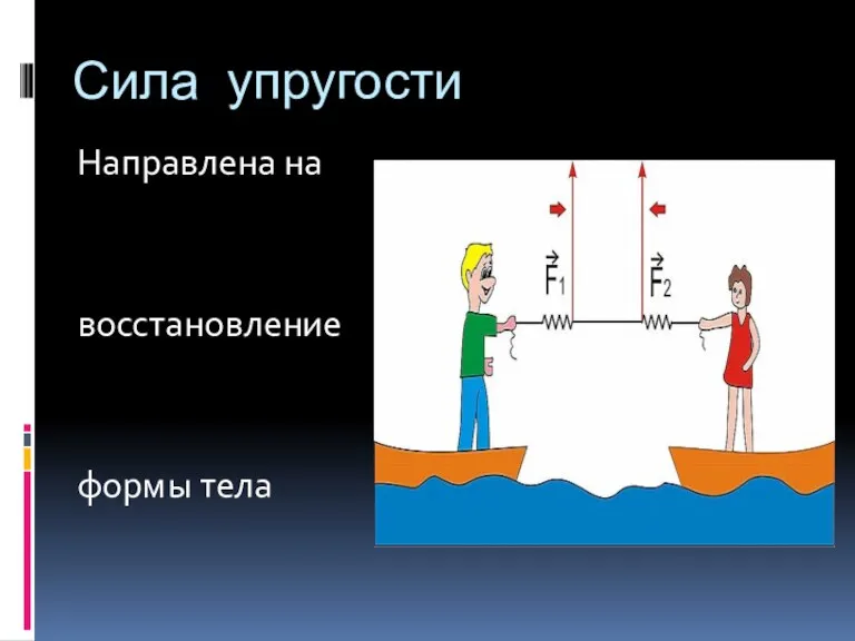 Сила упругости Направлена на восстановление формы тела