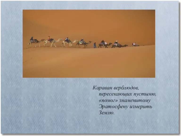 Караван верблюдов, пересекающих пустыню, «помог» знаменитому Эратосфену измерить Землю.