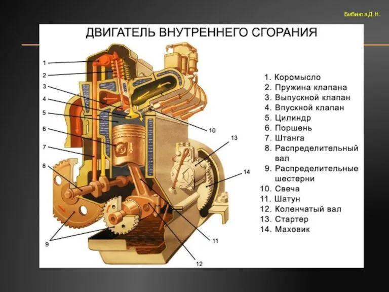 Бибиков Д.Н.