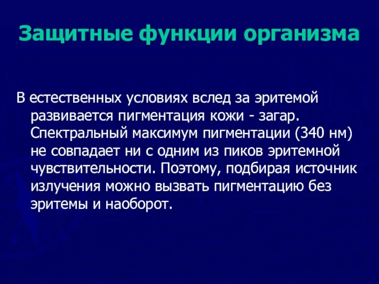 Защитные функции организма В естественных условиях вслед за эритемой развивается пигментация кожи