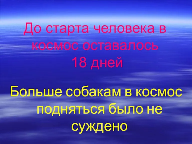 До старта человека в космос оставалось 18 дней Больше собакам в космос подняться было не суждено