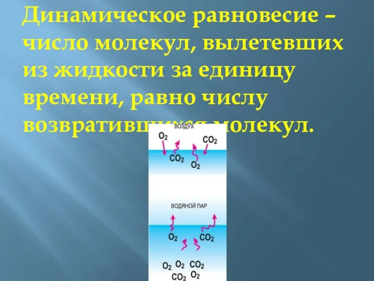 Динамическое равновесие – число молекул, вылетевших из жидкости за единицу времени, равно числу возвратившихся молекул.