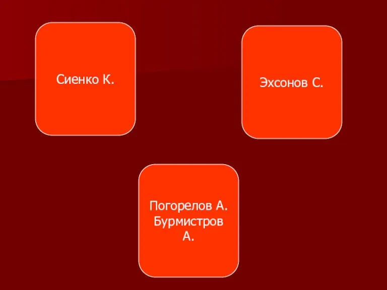 Сиенко К. Погорелов А. Бурмистров А. Эхсонов С.