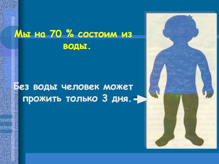 Мы на 70 % состоим из воды. Без воды человек может прожить только 3 дня.