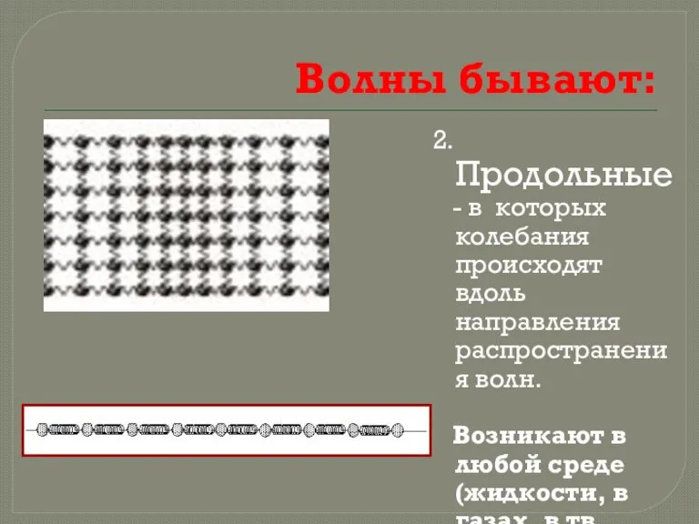 Волны бывают: 2. Продольные - в которых колебания происходят вдоль направления распространения