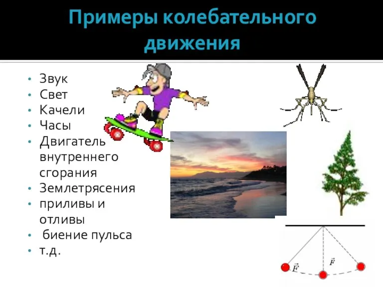 Примеры колебательного движения Звук Свет Качели Часы Двигатель внутреннего сгорания Землетрясения приливы