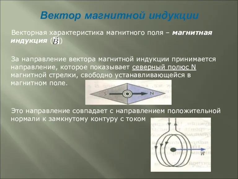 Вектор магнитной индукции Векторная характеристика магнитного поля – магнитная индукция ( )