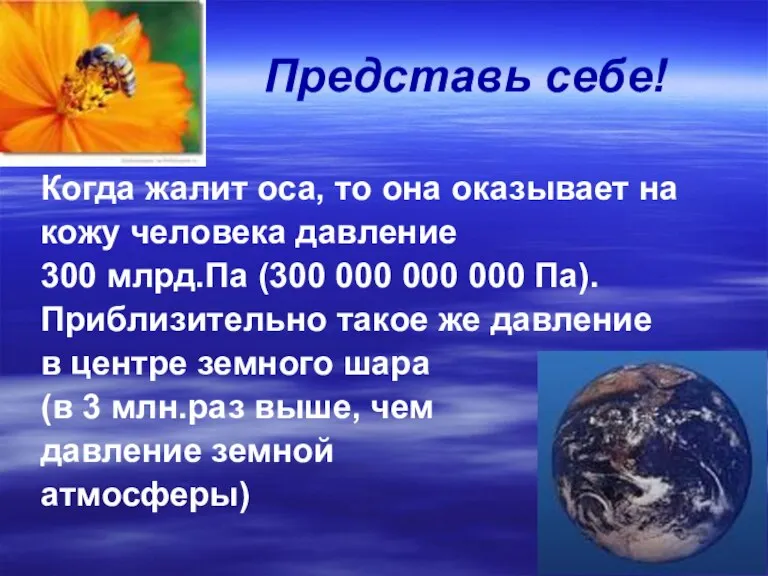 Представь себе! Когда жалит оса, то она оказывает на кожу человека давление