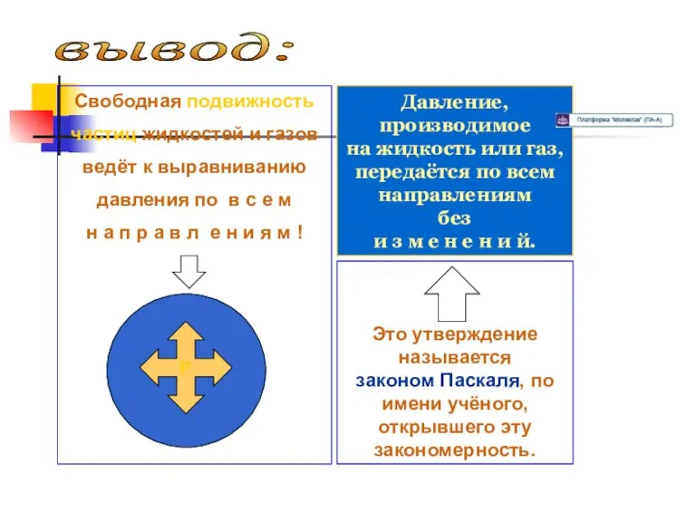 вывод: Свободная подвижность частиц жидкостей и газов ведёт к выравниванию давления по