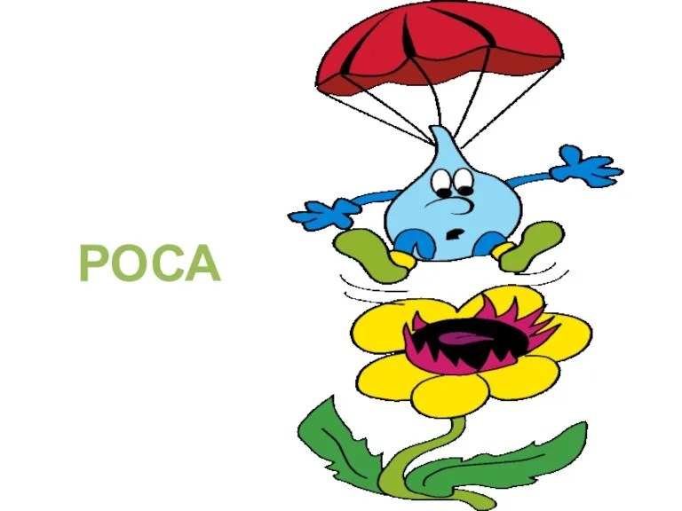 РОСА