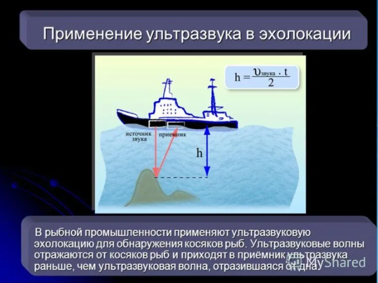 Свойства звука. Способ определения расстояния до предметов называется Эхолокация.