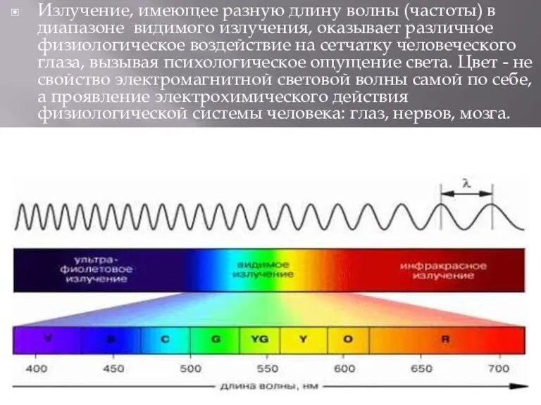 Излучение, имеющее разную длину волны (частоты) в диапазоне видимого излучения, оказывает различное