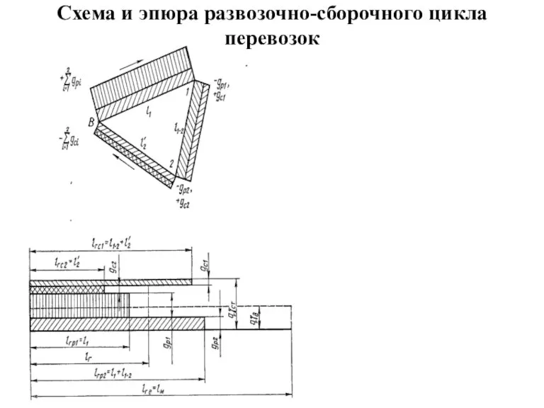 Схема и эпюра развозочно-сборочного цикла перевозок